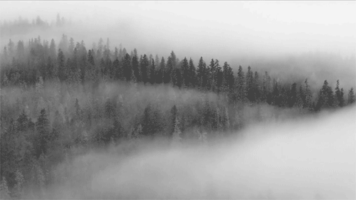 Pasos entre la niebla Tierra-niebla